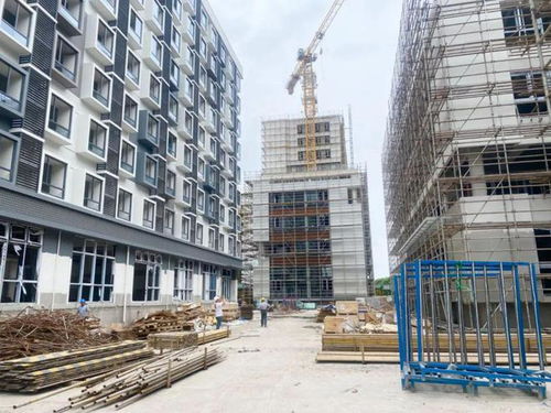 建筑科技融入文化創意，松江特色產業園吸引優質項目蜂擁而至